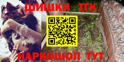 стафф Лесосибирск