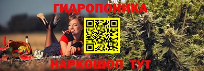стафф Лесосибирск