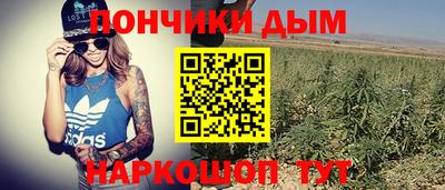 стафф Лесосибирск